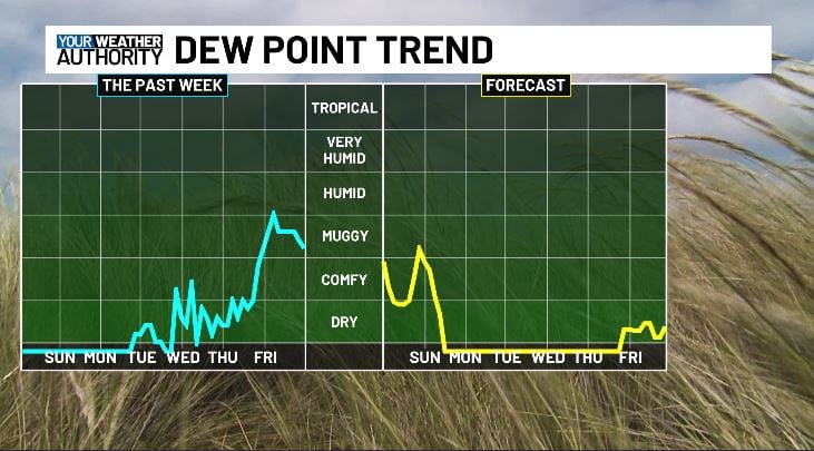 Showers continue this weekend before clearing next week