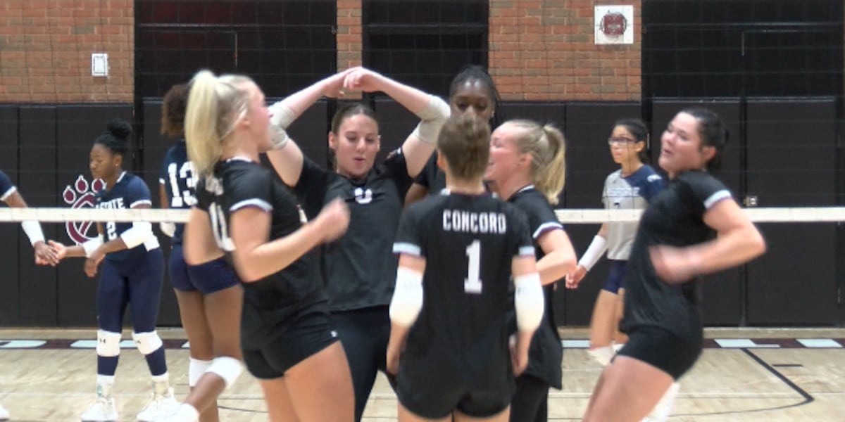 Concord volleyball stays undefeated, knocks off Bluefield State in four sets