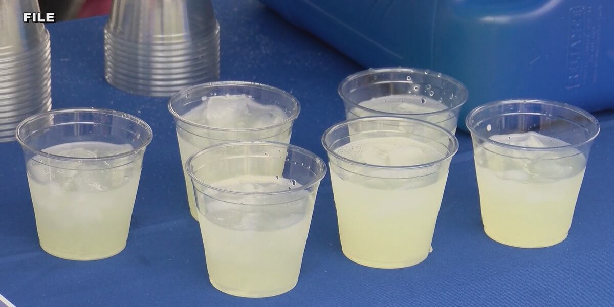 Lemonade Line Up Lemonade Festival returns for another refreshing year