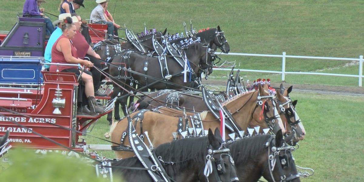 The State Fair of West Virginia draft horse show brings families together