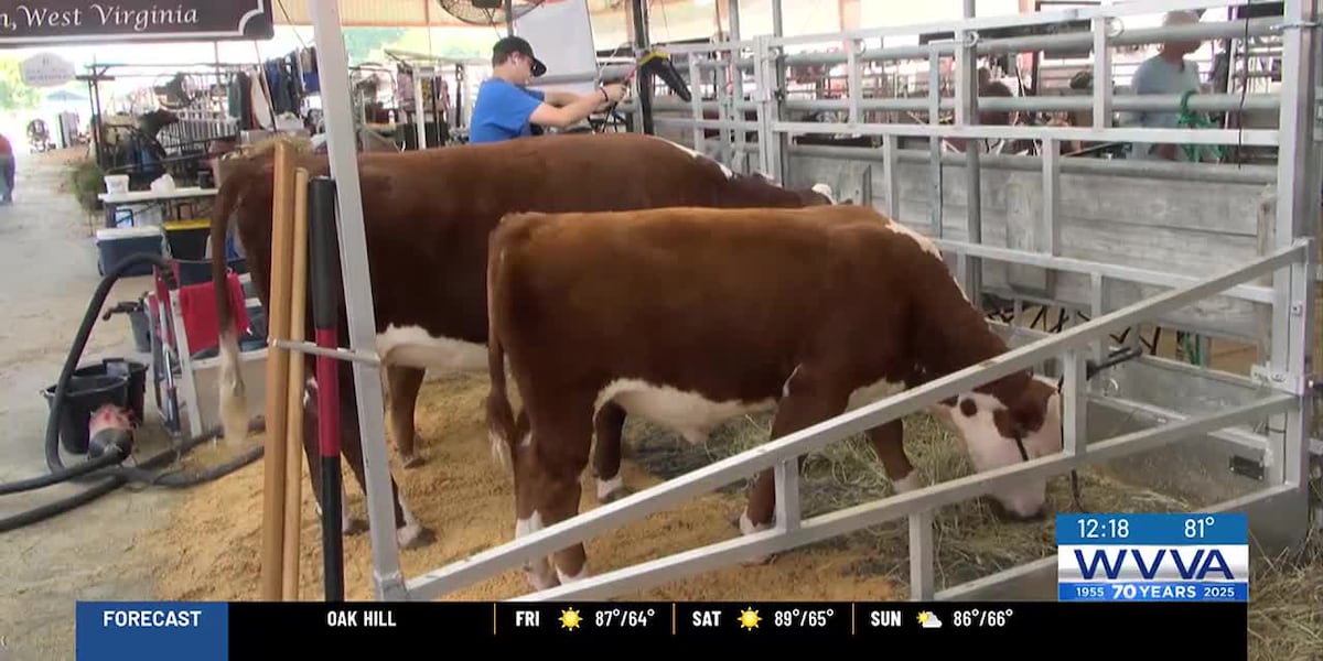 State Fair of West Virginia’s Ag Pavilion highlights importance of livestock
