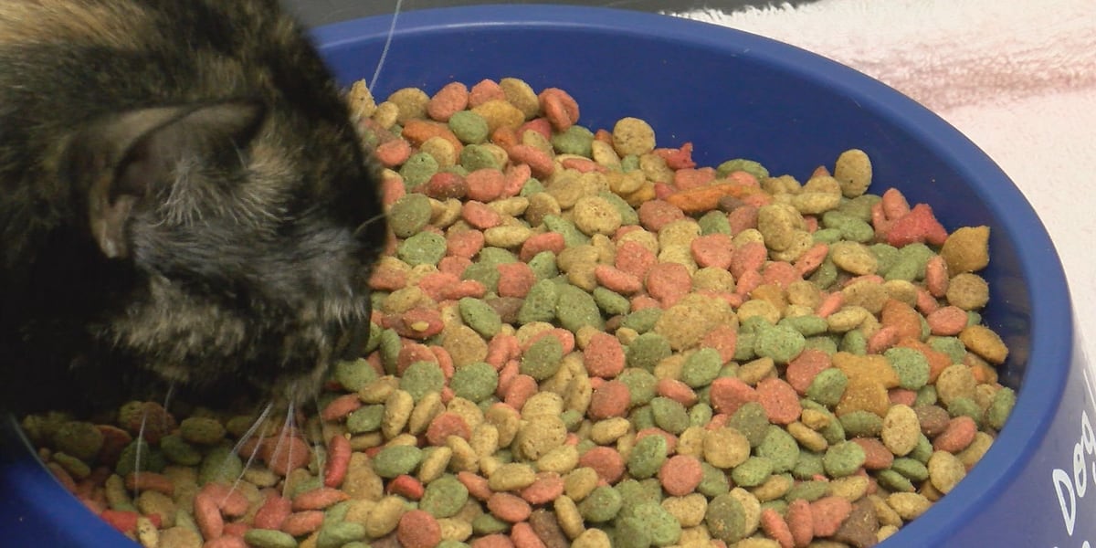 Local teen creates drive for Mercer Co. Animal Shelter during time of need