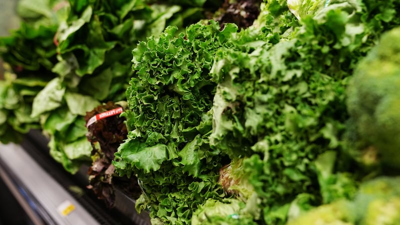 Lettuce is stocked in the produce section at a grocery store chain in Minneapolis, Friday,...