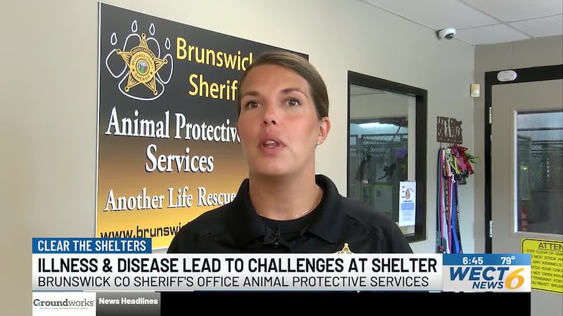 Clear the Shelters: Illness and disease lead to challenges at shelter